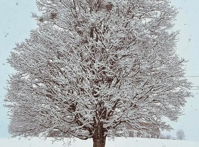 Apartment Auszeit Schladming